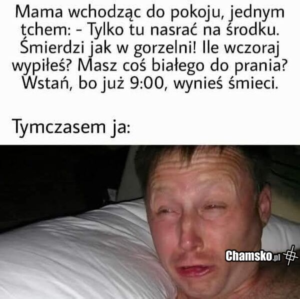 7a34a690-64d3-4722-b542-f4f69fda8b4b
