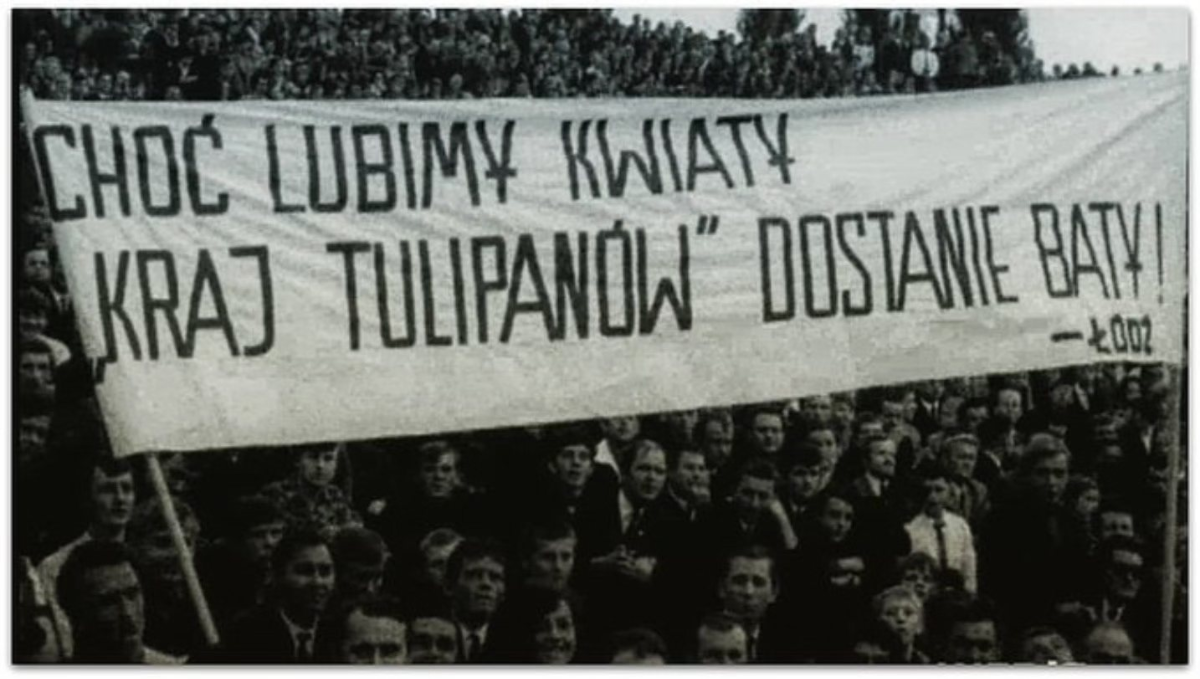 cdcec295-cd53-44b1-8de5-9b51eb0f7dee