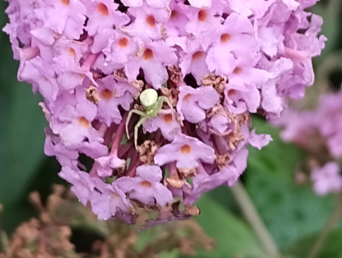 a42c1151-5623-47ee-8a52-42be661a1b6b