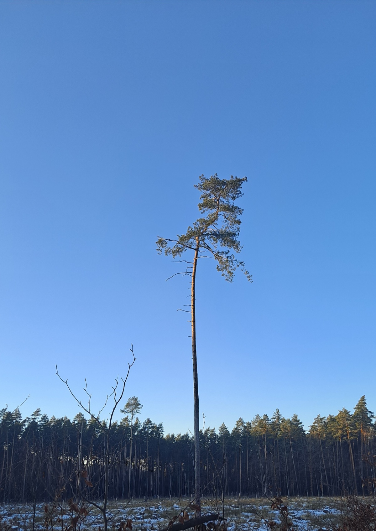 455d1ce8-2615-4faf-81e9-3a580d138d76