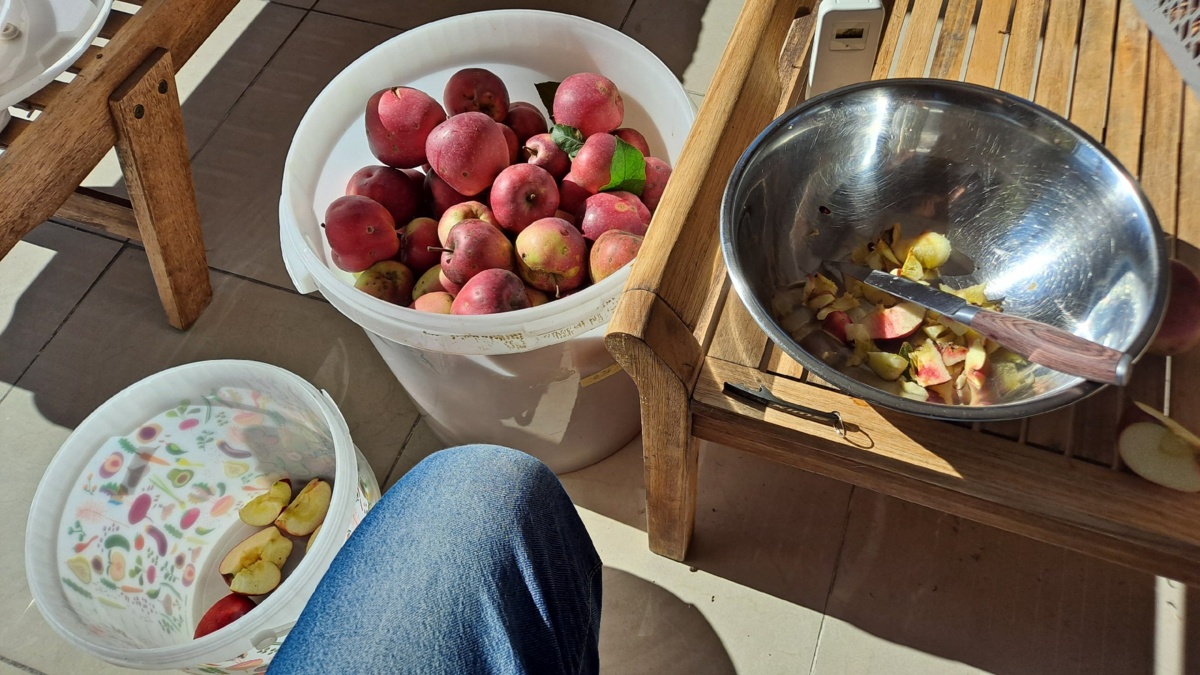 d9e9b5ba-c5bc-4820-9a4a-a2486ace5b06