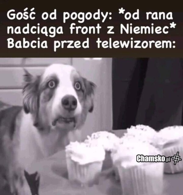 015c43c8-7011-463d-8c9f-b19727a33054