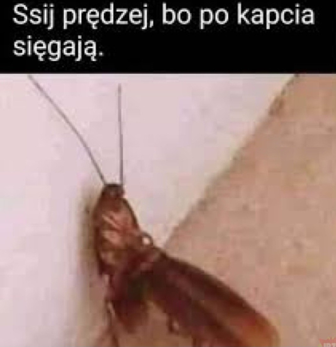 01cd5a6f-bb35-4f77-8f34-da2788c9269e