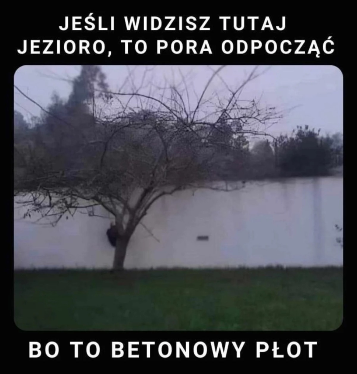 40cf45ad-55f4-458c-9e6c-42f1febeef48