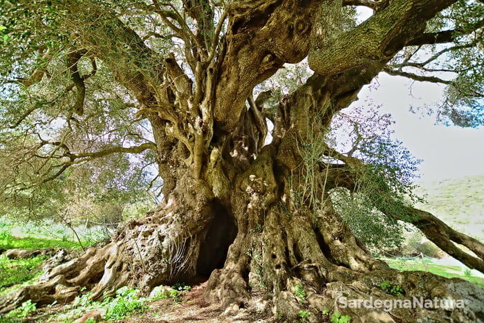 1cdfd7c2-3c44-421c-b200-05d690a1160c