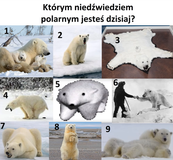 0e59fc19-f212-41cd-9b97-88c70a27d433