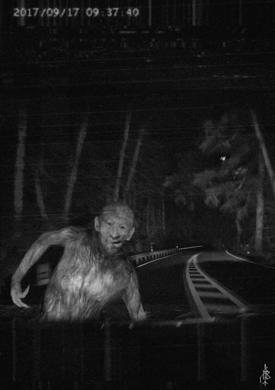 ecbe74af-3f05-41bd-9757-e94ddf09fccc