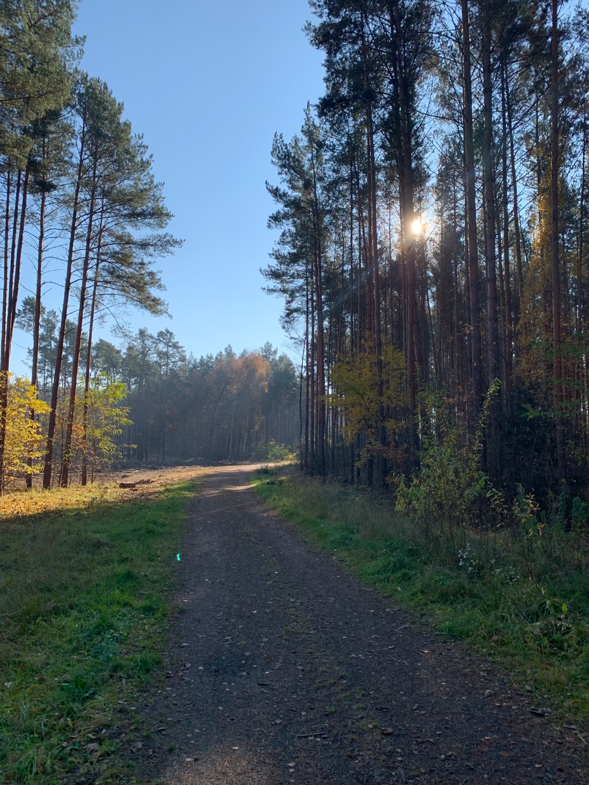 a0281a30-d993-46c6-8533-129b08e823b1