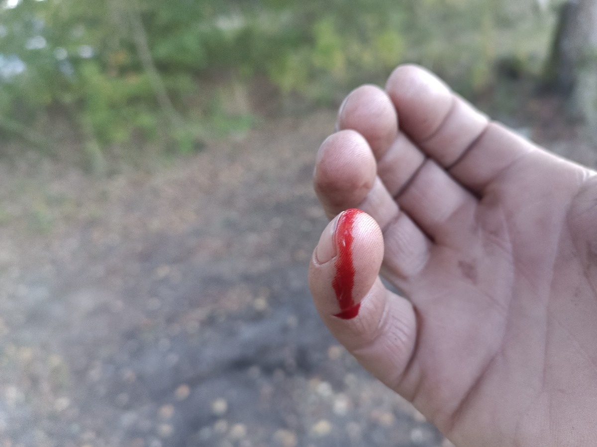 3f356562-e4dd-4b0c-b8b6-87e2cbb4da0c