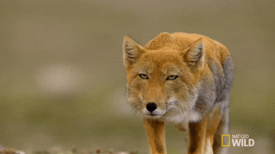 f278a75d-c20c-400b-b984-5215aa83b333