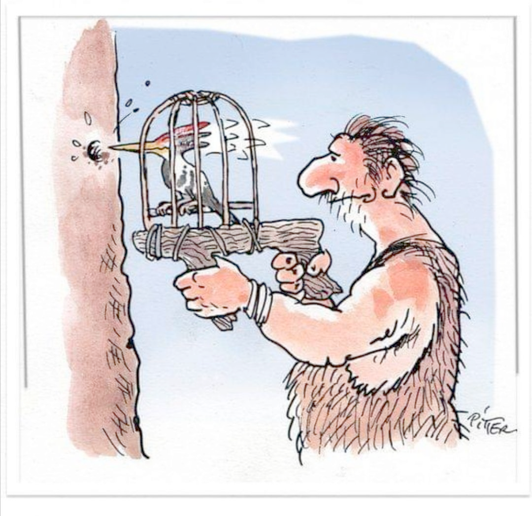 3b80e0bd-27e1-49db-8d35-dc741e8d3231