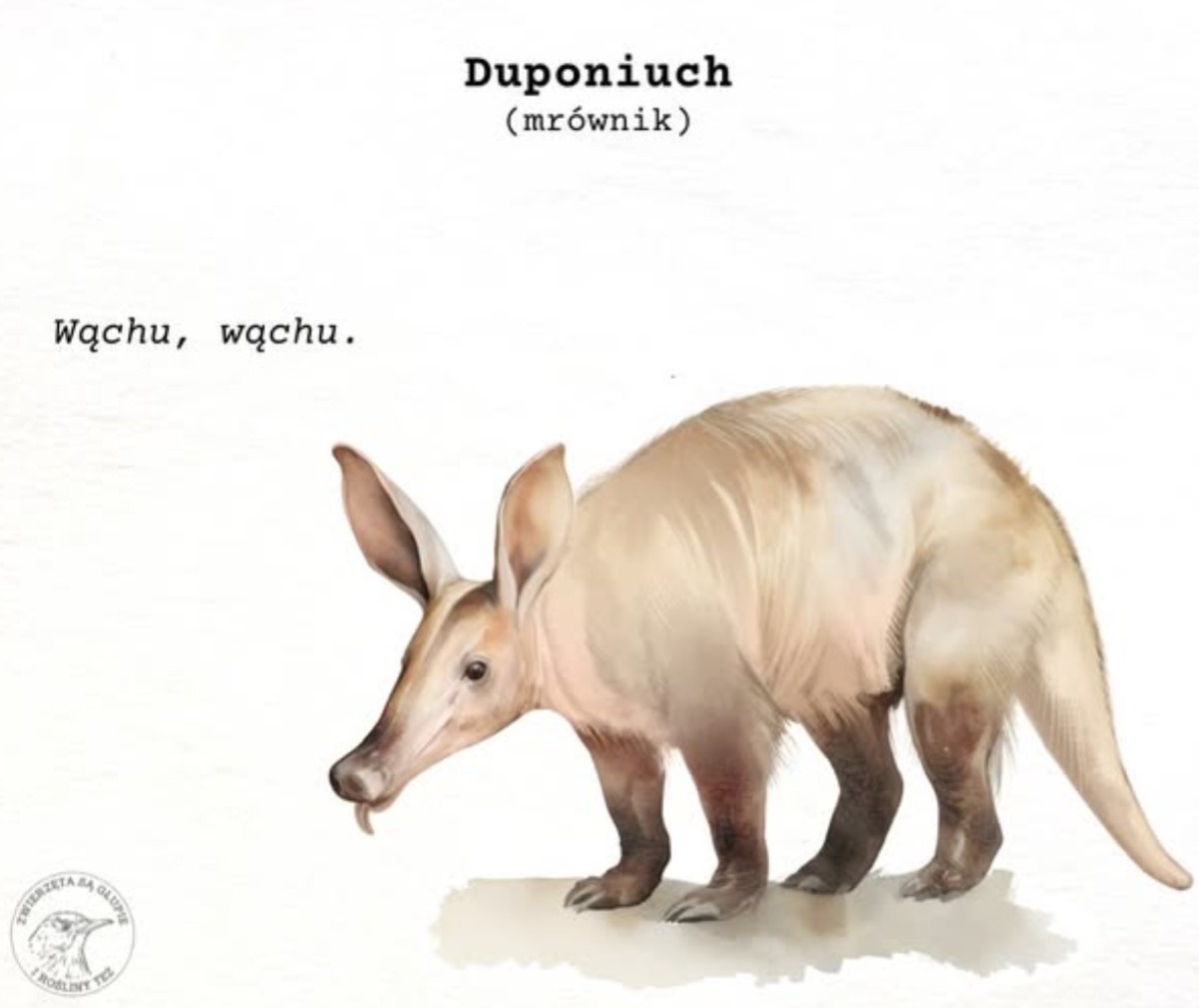 7bd5640c-4f24-4f52-be20-0fefa394c76a