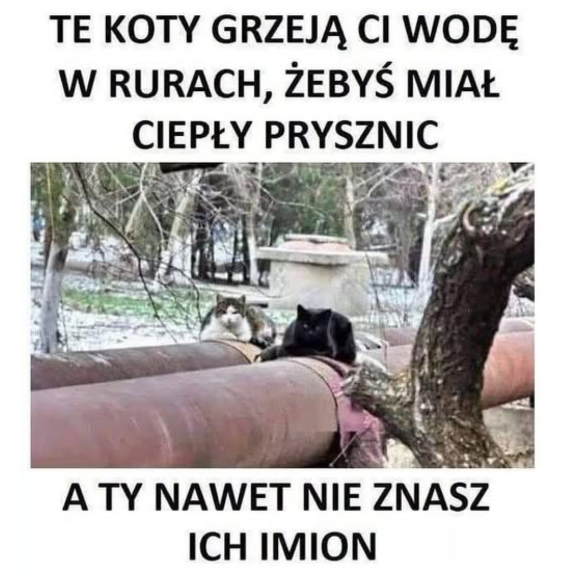 29618af4-3113-4025-8a8f-99a389dc5db2