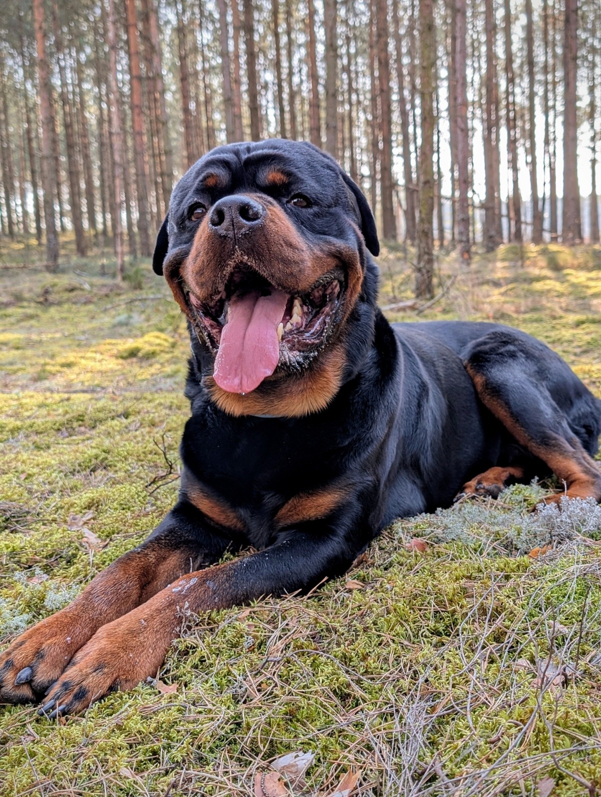 81e22e17-6631-46be-855c-1be09d3d8951