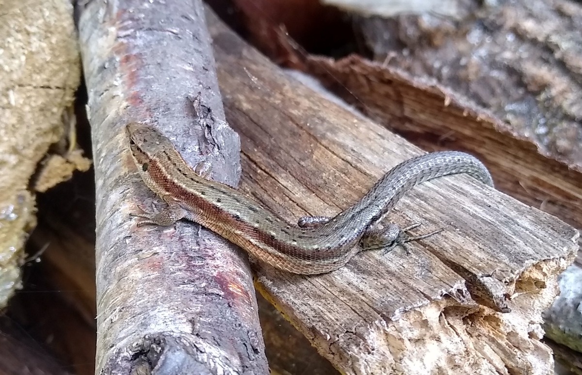 586d1b09-87b2-48aa-802a-1b2d7c160e73