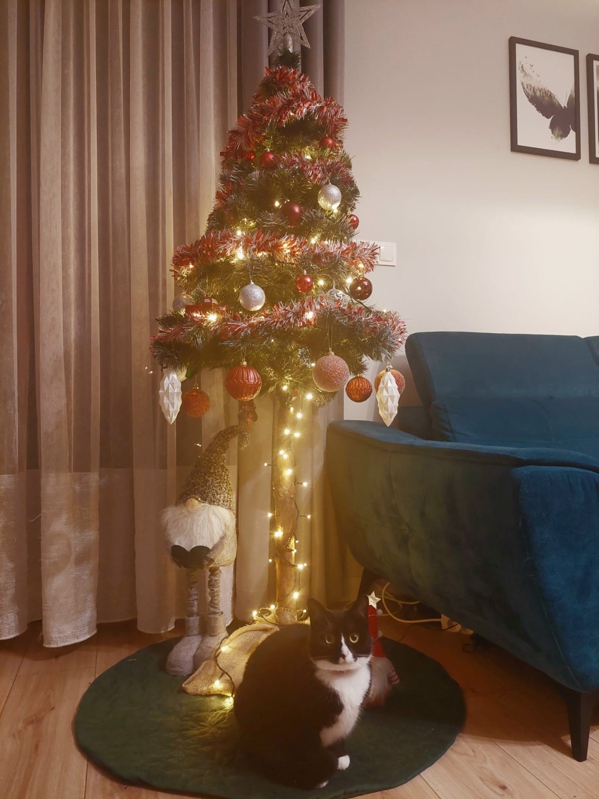 d455f10f-8908-4281-9672-d707e13b24d2