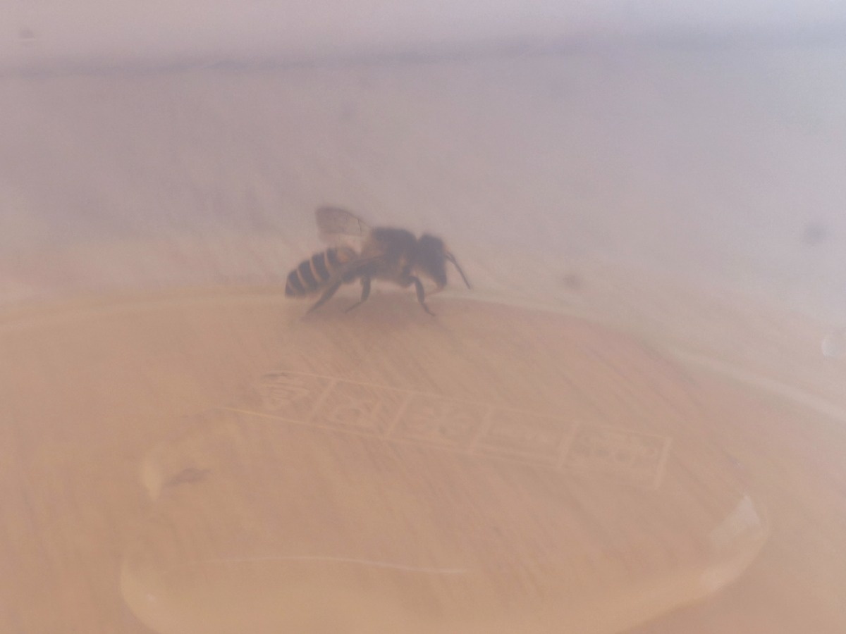 a1e21566-0844-46f8-9530-132c1d114a2e