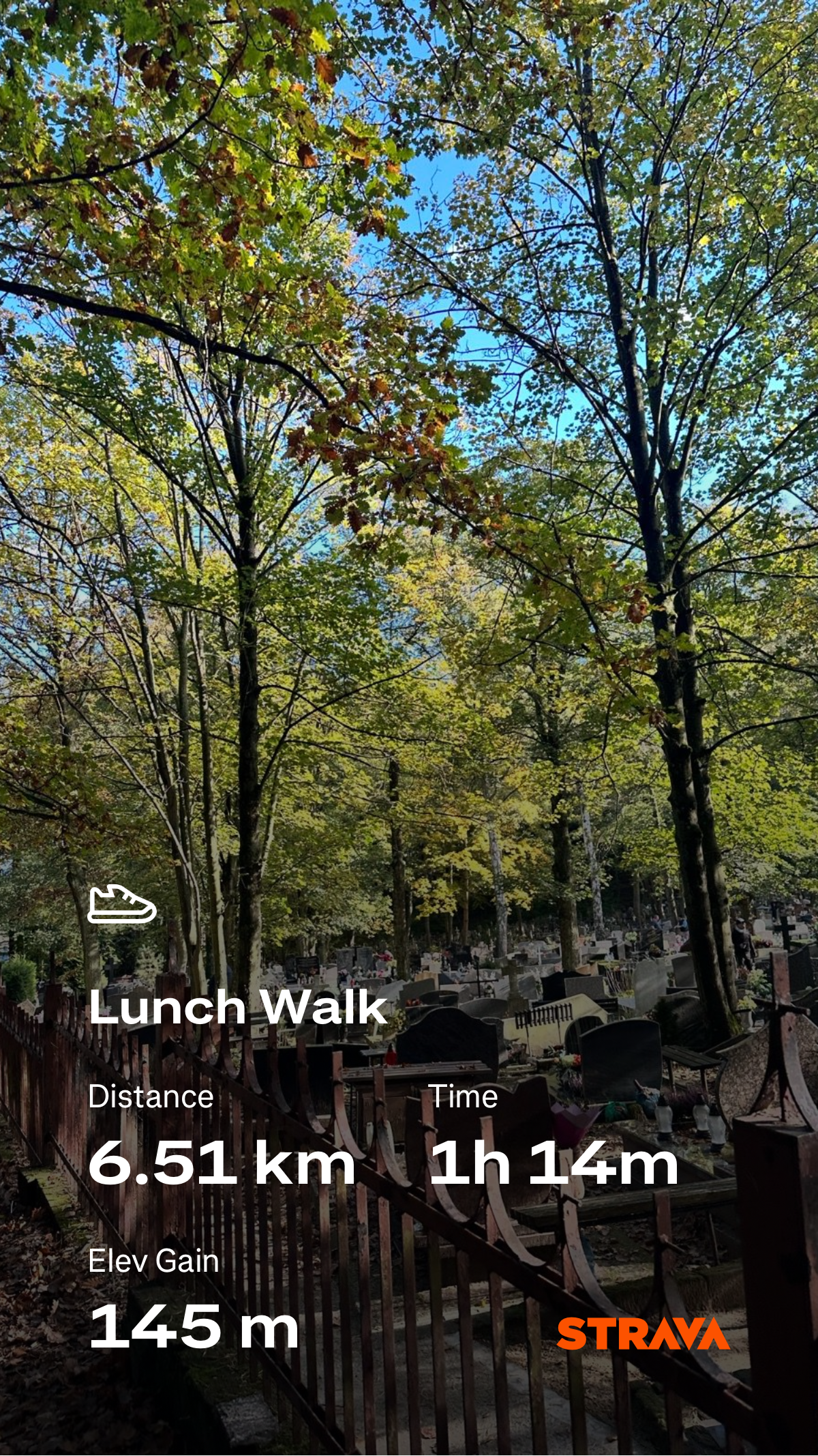 3087cfaf-aa12-49d6-92e7-88ae3db436e7