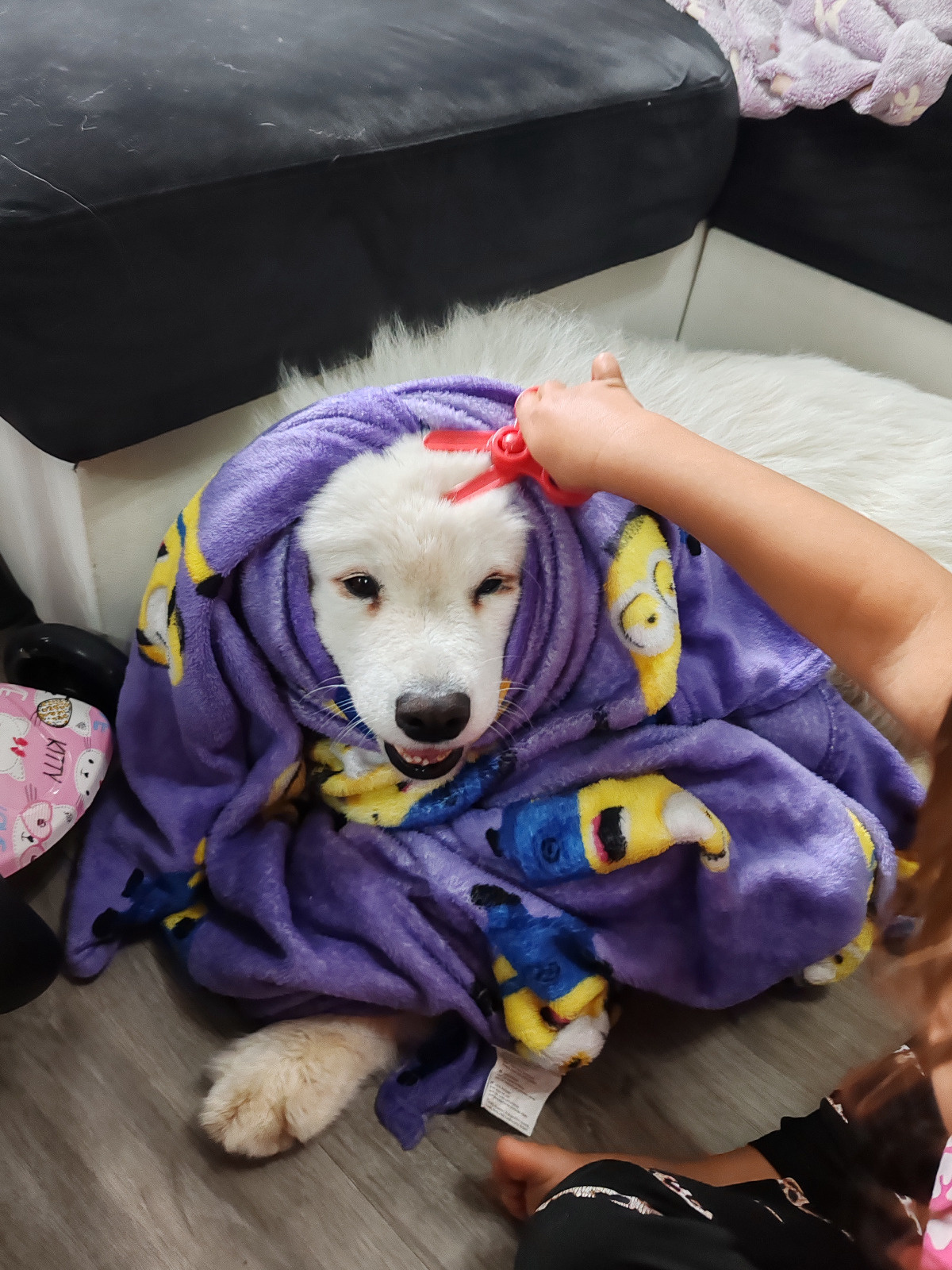 b67f476c-c398-41db-91b9-5a89bc679622