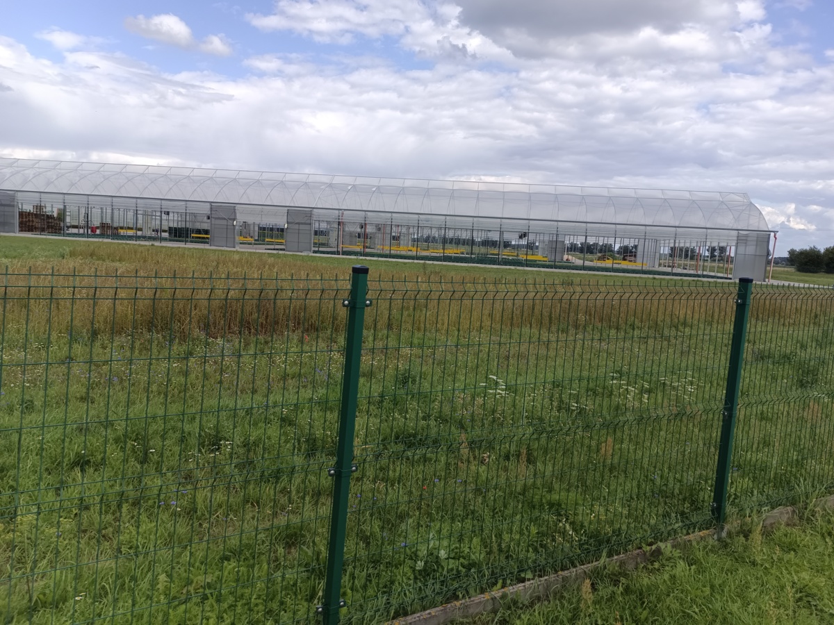 80c49746-75ba-441a-807e-6a50e0e57fad