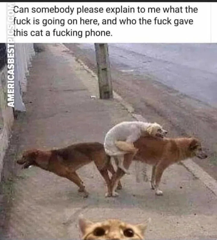 2af13576-4b47-49f2-8e3a-0e1a3882a5b2