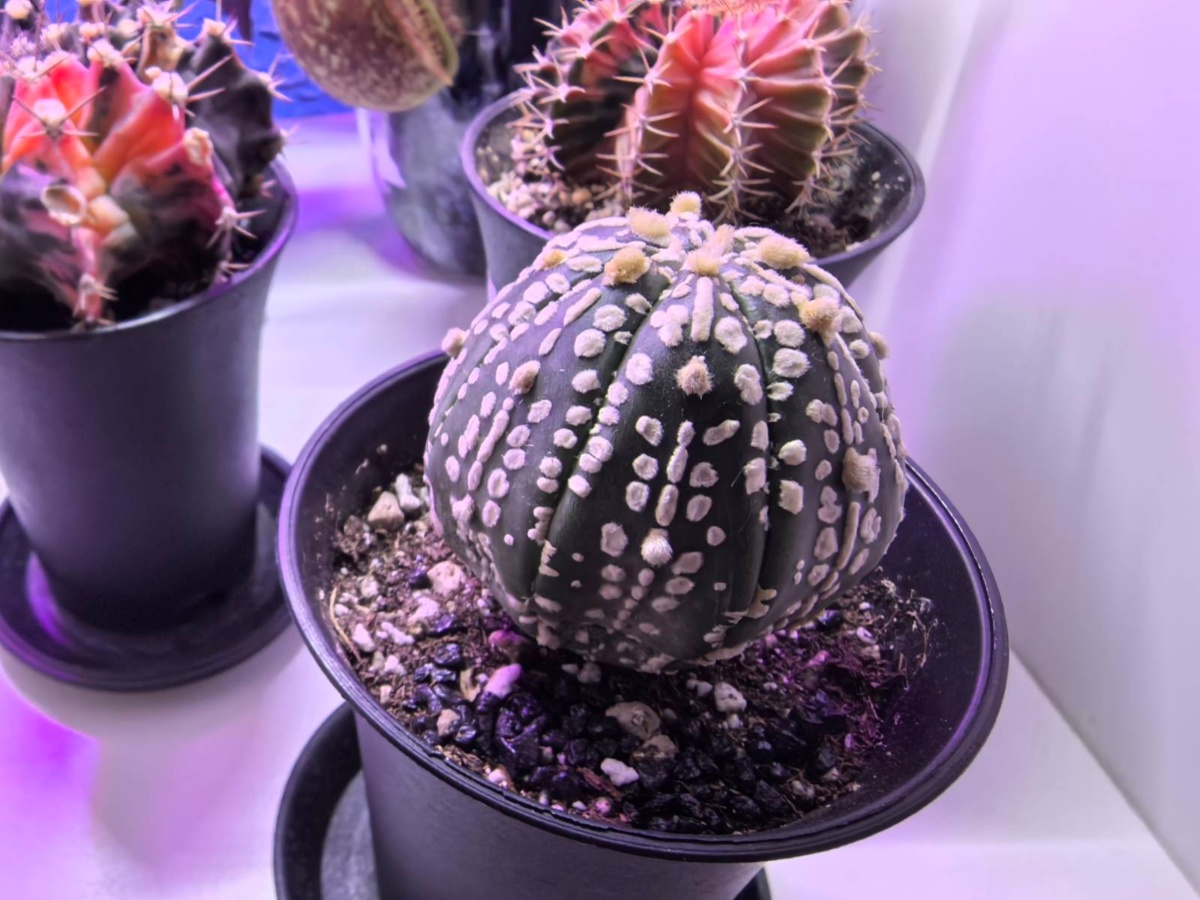 fc2e8af1-ad58-44e5-b9f2-52f24652857e