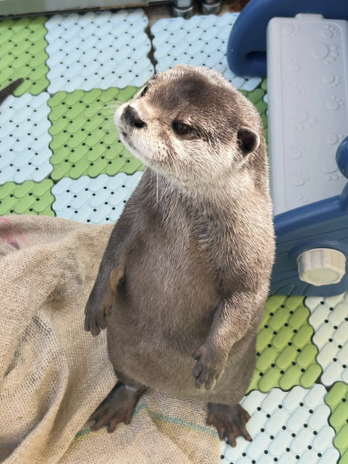 af53bbed-764c-47d8-8e5f-59ab5789f037