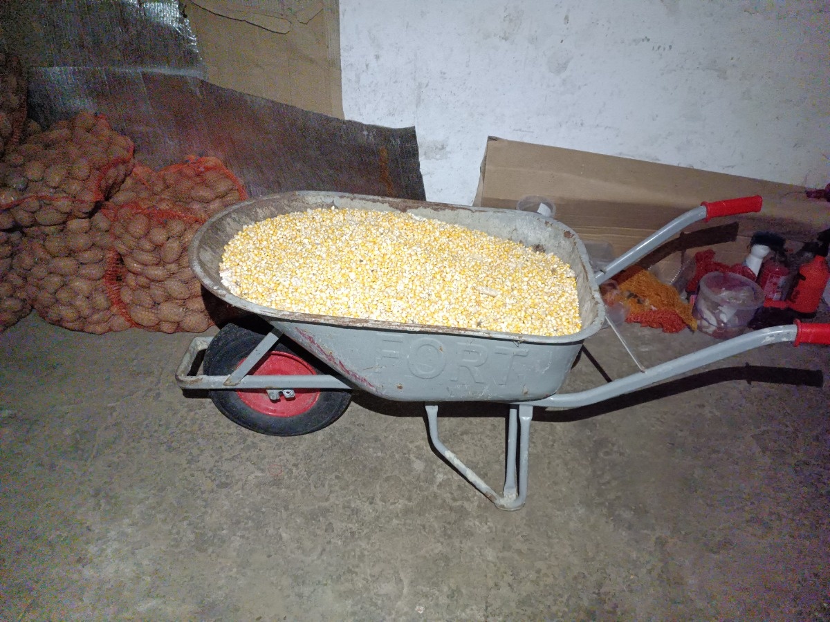 9e7fe32c-754f-4573-8016-df1a0077daff