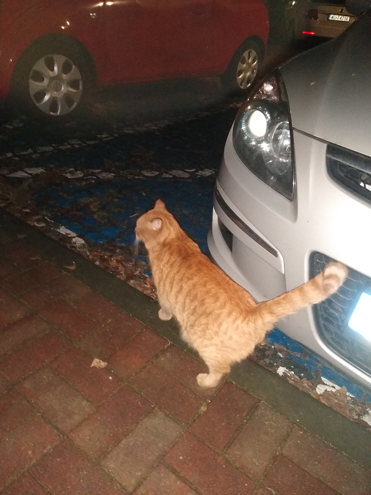 07b919b5-ed39-4c64-8c6c-35e677f26a13