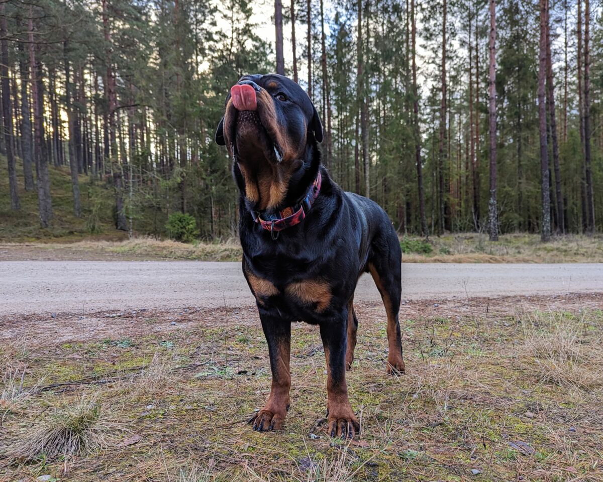 3658204a-93a8-4c72-b542-c2e4a5067f17