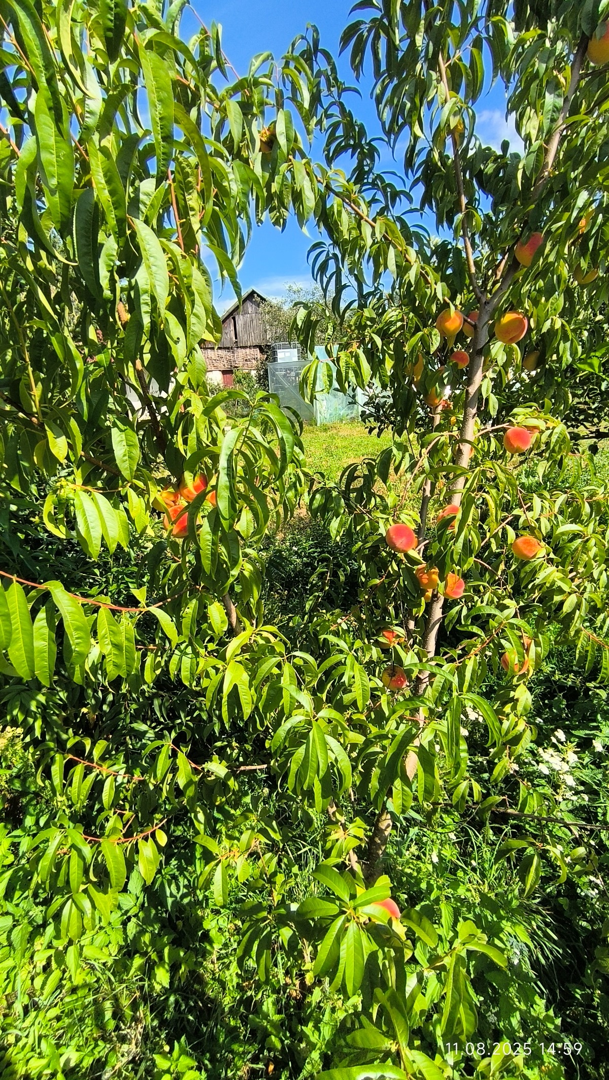 e5ccd1b2-534e-43f2-bbb8-34af0db31bb5