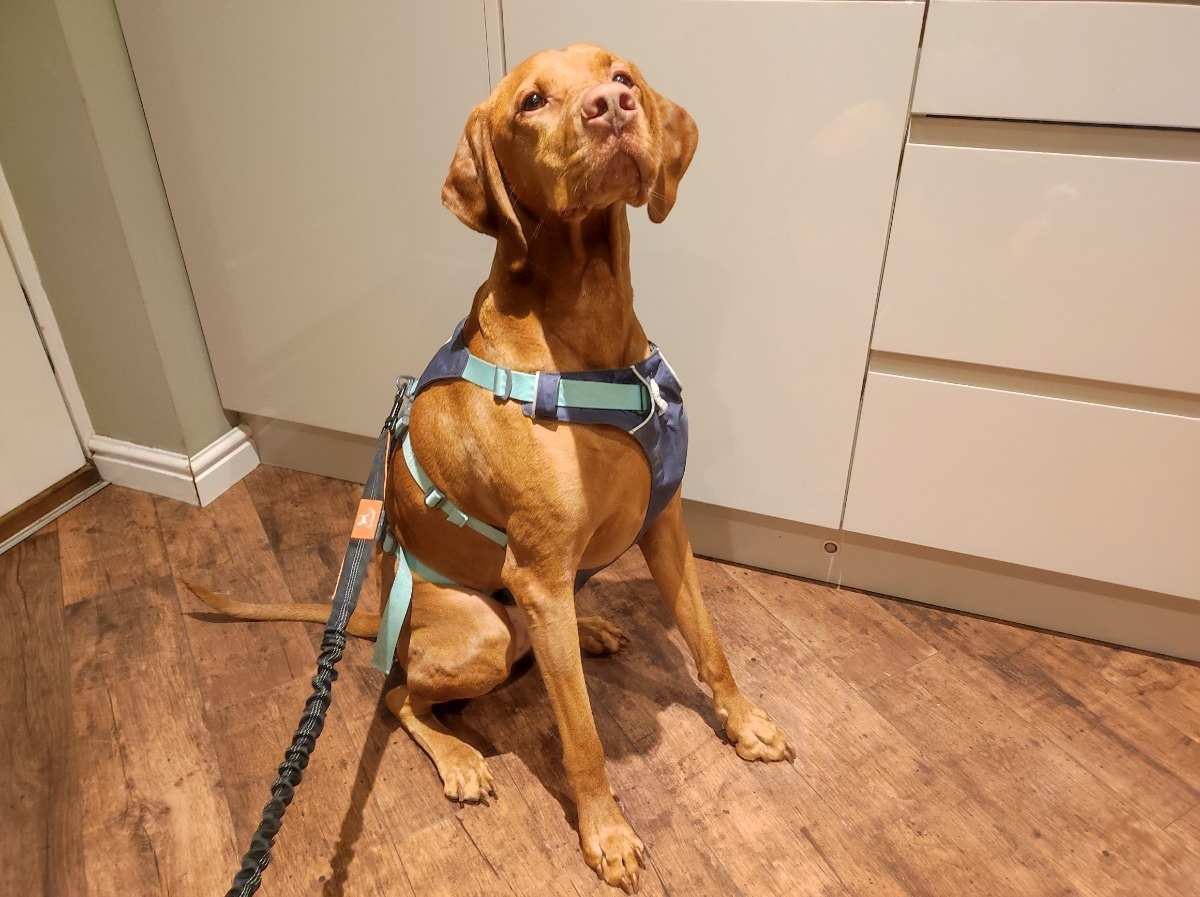 bbec1371-ce2c-4c2a-bac5-7a62e25f0eb4