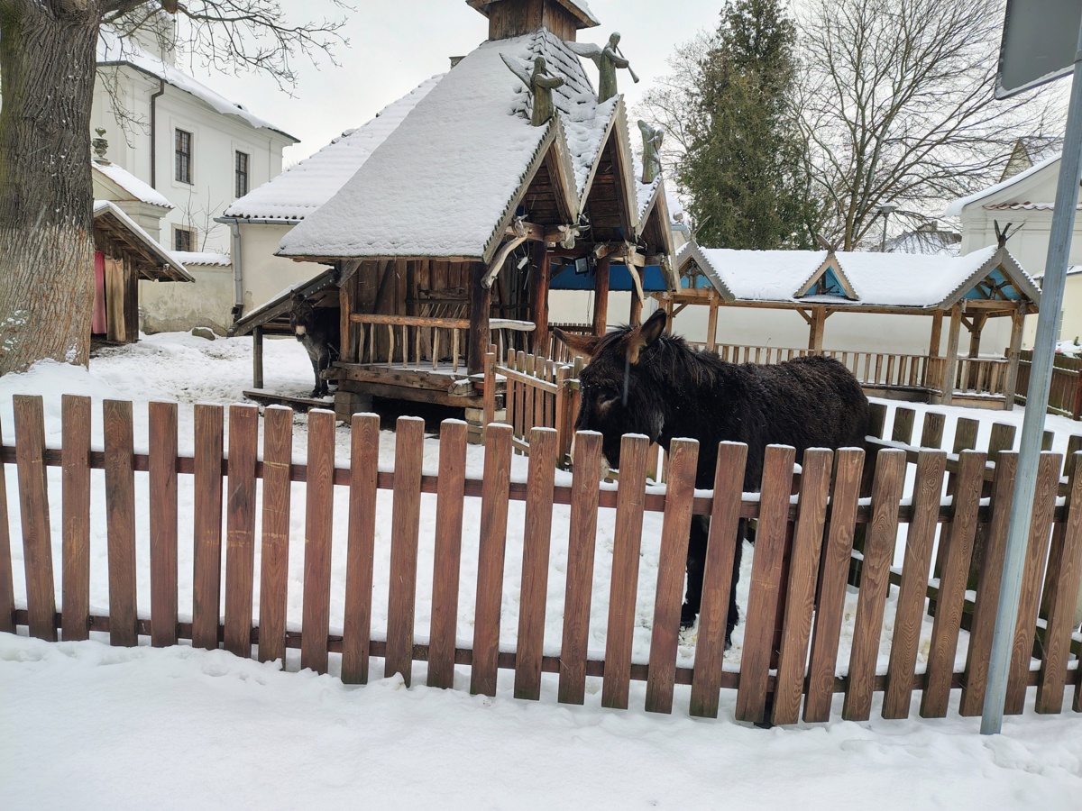 9c867eee-25a9-4f36-9266-771631d566fe