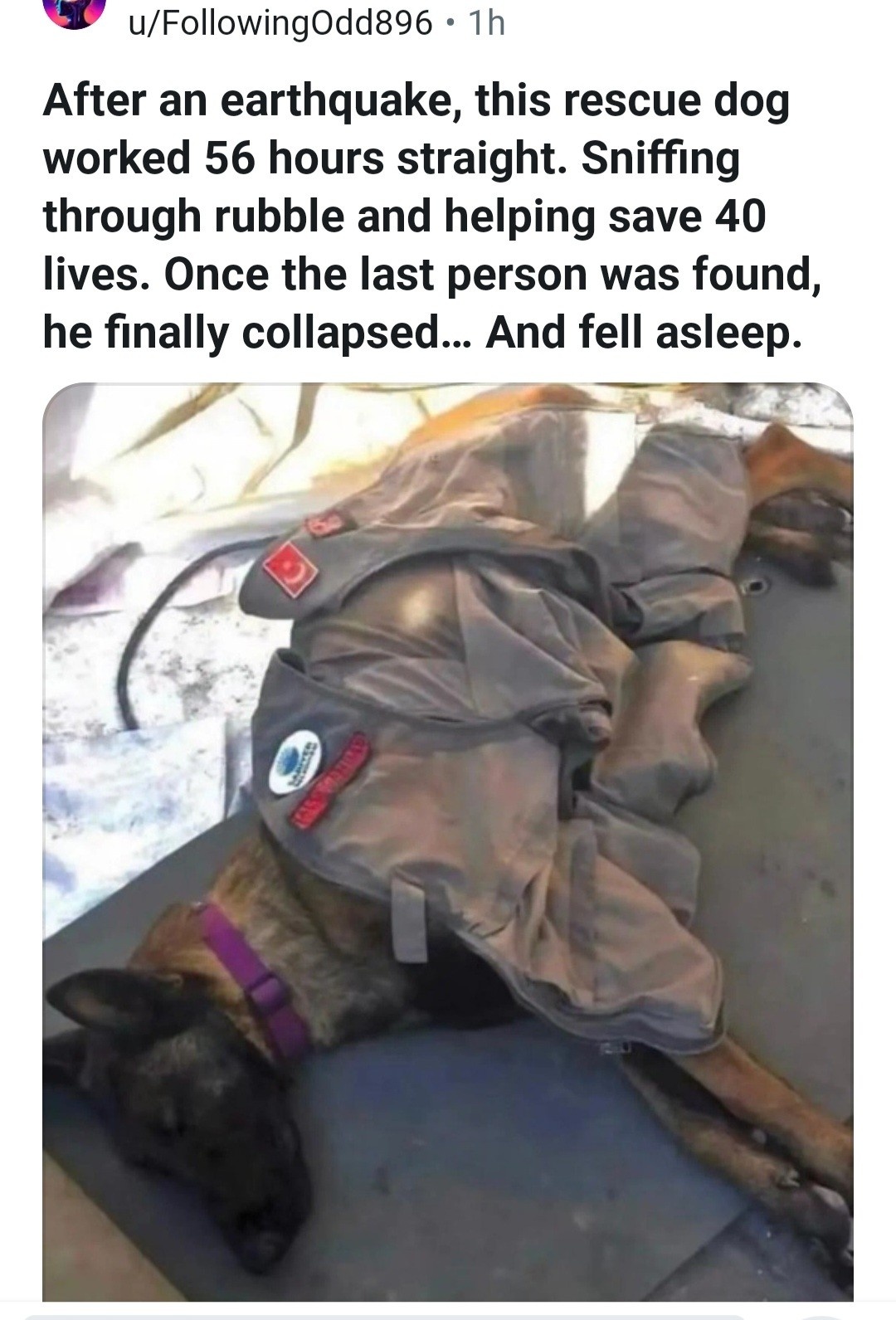 cb31be3a-f66c-46c6-b7f2-520248788491