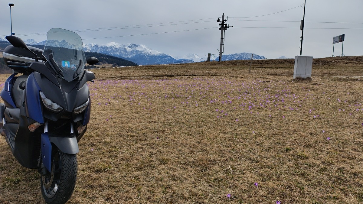 b4b53607-e0f1-499d-8f3a-1a947f19749d