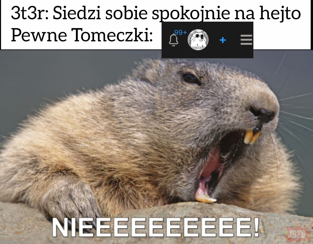 e8dfc34e-b204-4039-b05f-26f90968a3f2