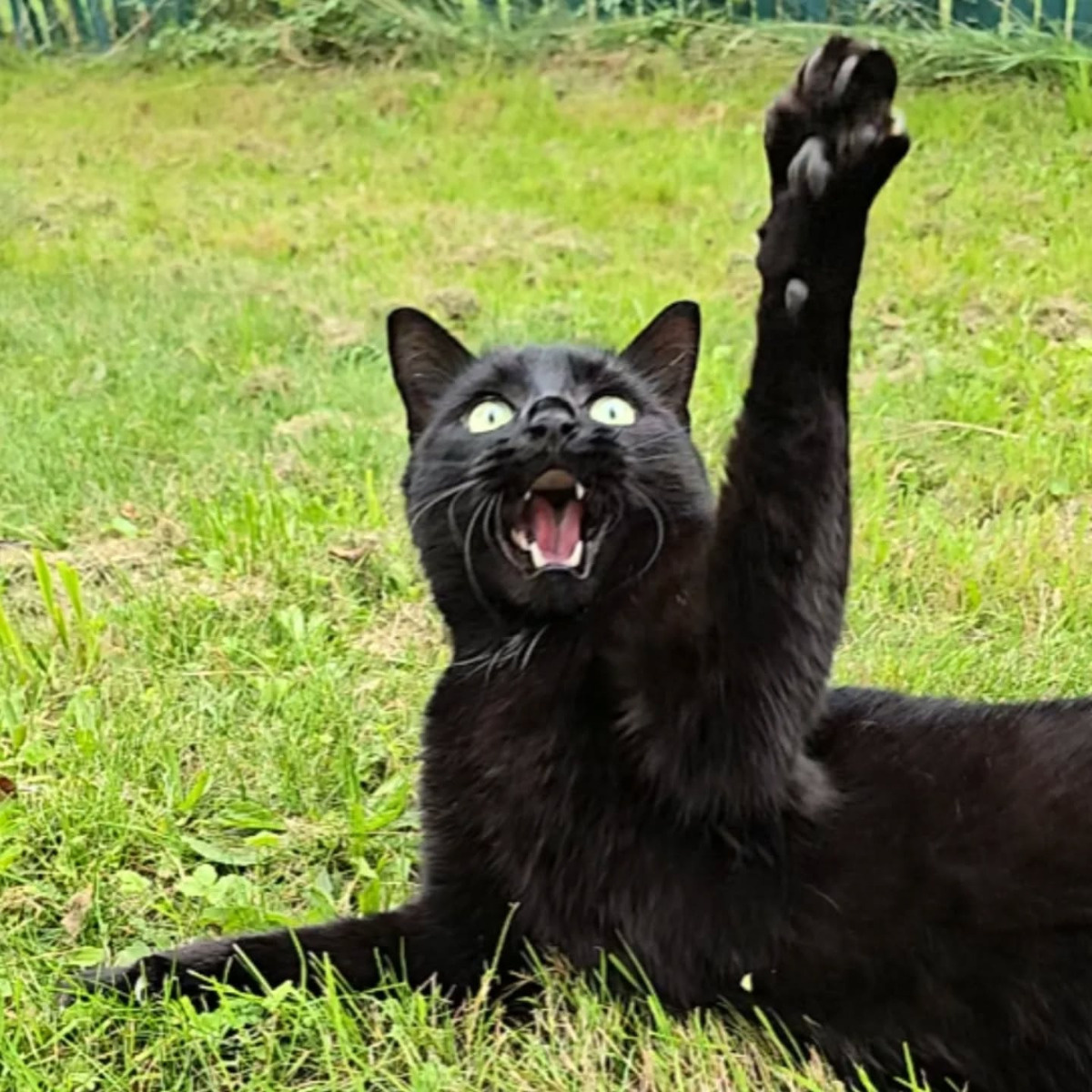 592e0ec4-6040-447c-bc9d-886de87d0c18