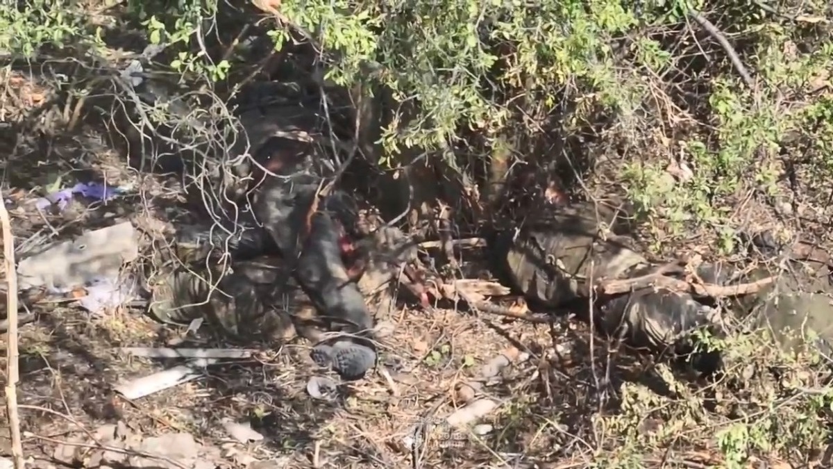 7c9264f2-0c3e-412c-81a6-f35bdca384f7