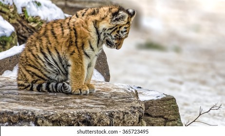 4fd0bc1a-c91a-4c4c-82e1-375dfb54db75