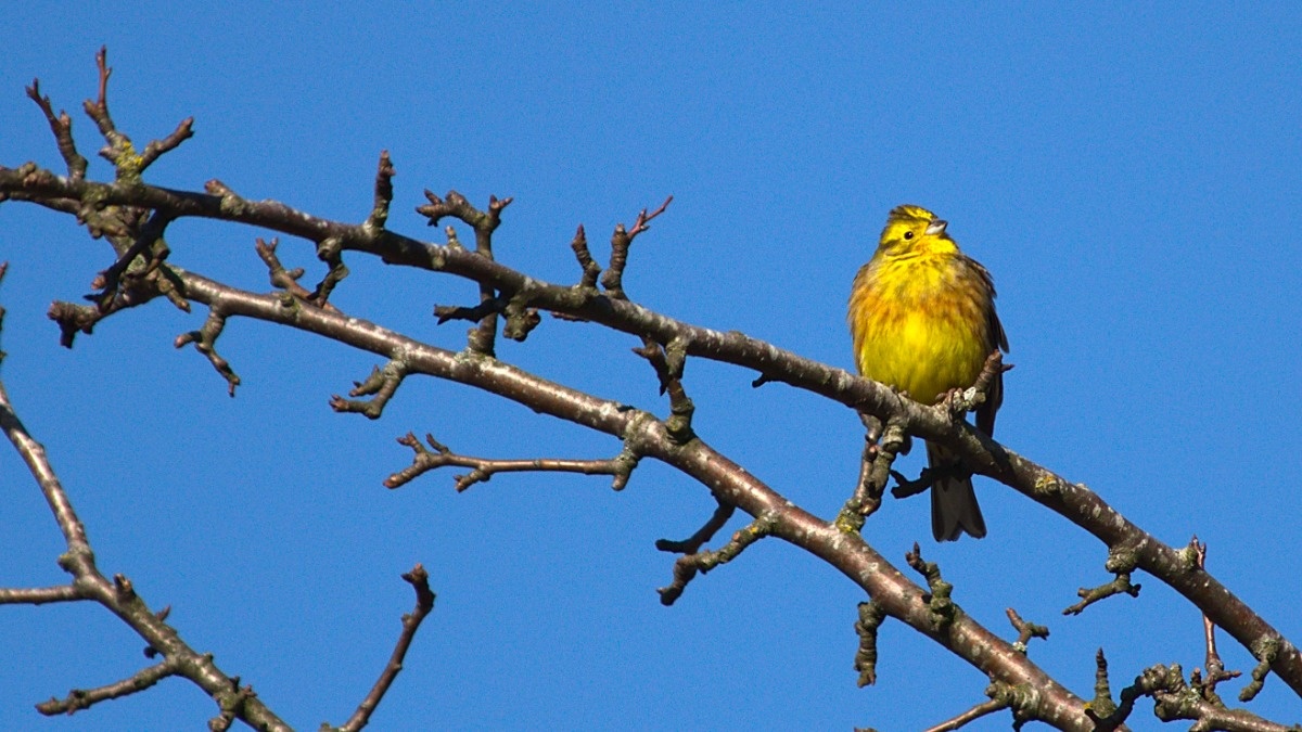 dc07b770-1542-4aa0-9bc9-cd83a74c1867