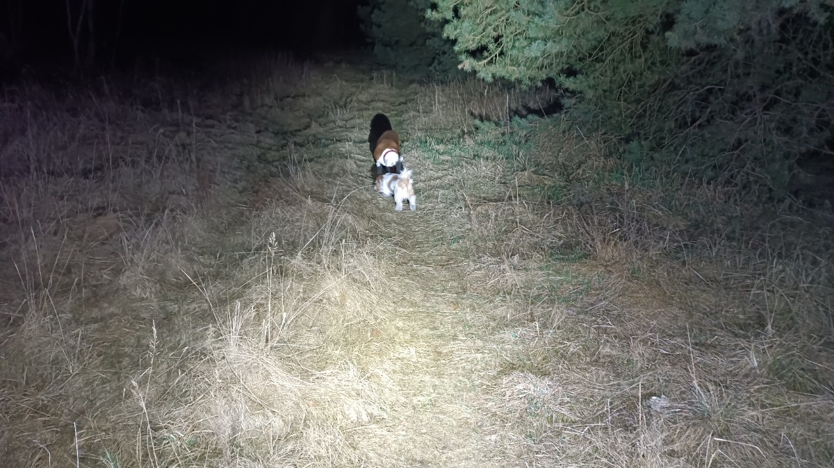 62da2562-cf40-4941-94fc-19bc5c146528