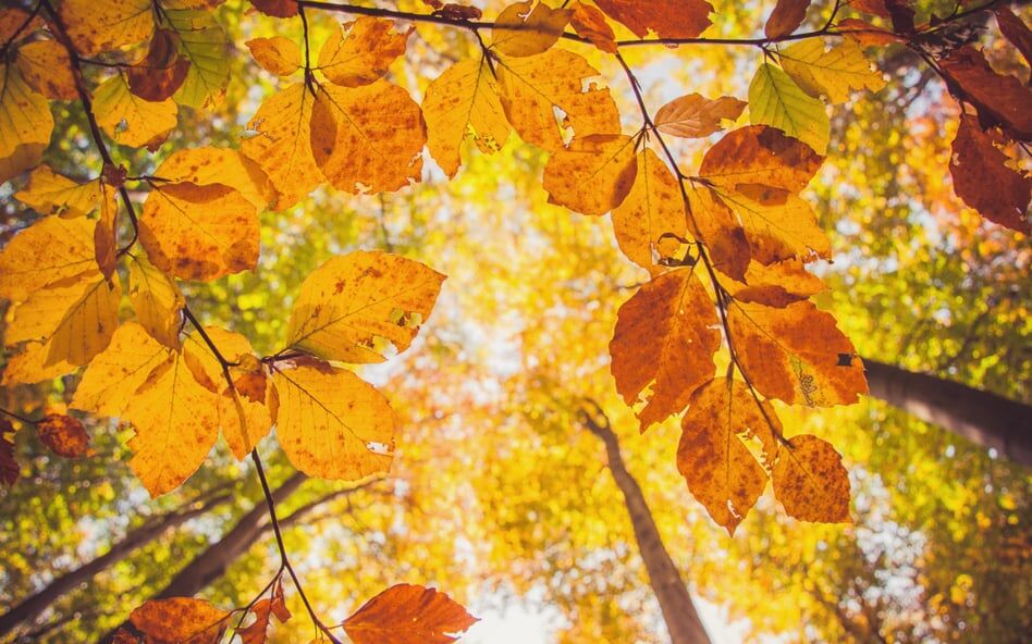 fbd4336b-1317-4e1f-b6b6-4a09e49628fd