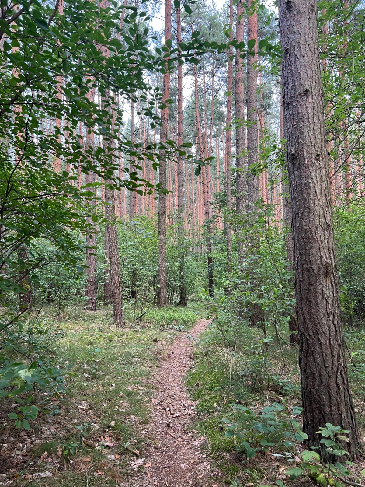 e928f8ad-20f2-44cc-a1c3-2e3ec64a3e36