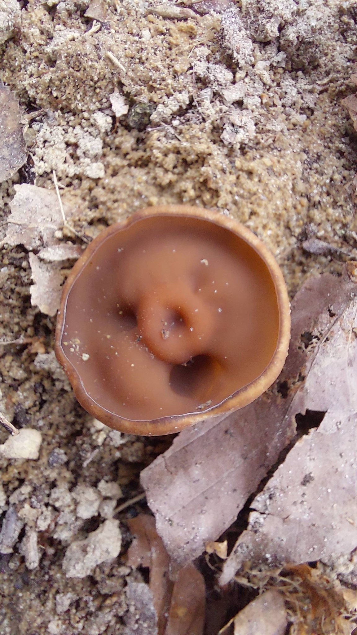 adbcf3f1-a591-4eb8-82e6-69ede688b3d0