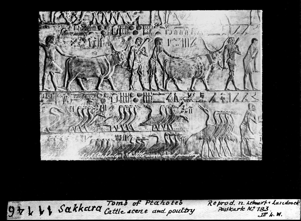 Życie osób z niepełnosprawnościami w starożytnym Egipcie