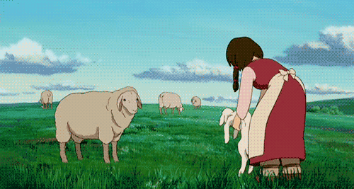 5ccc01f0-4891-416b-b5c7-ff82535e3c77