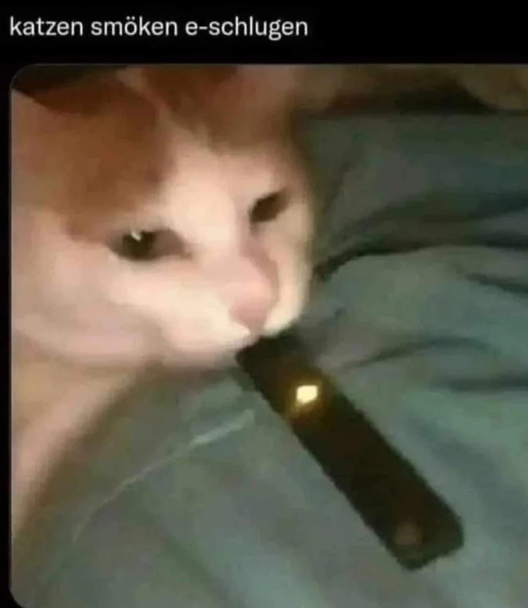 3006f386-a78d-4d98-b2f3-5502a0b91c06