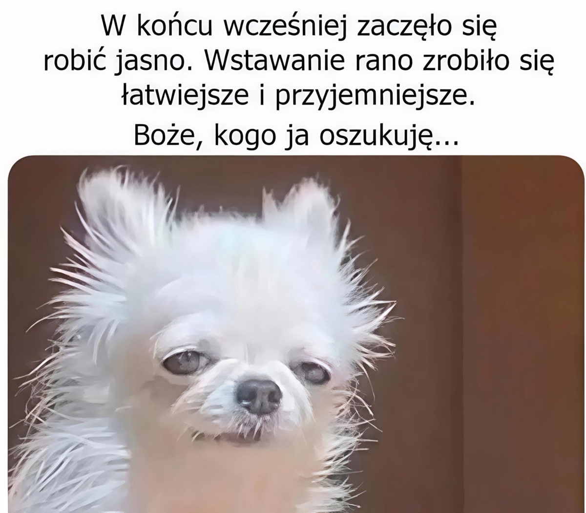 a5d31464-a4ea-4677-b959-bbfbfae9439b