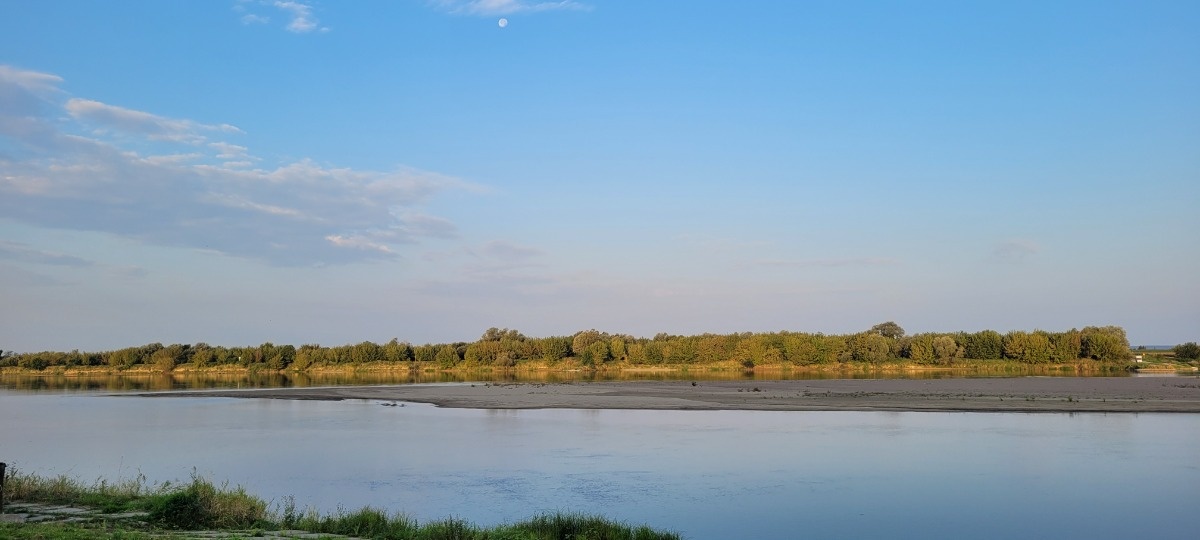 81fa7cea-def2-4835-8f08-977eb0c76d62