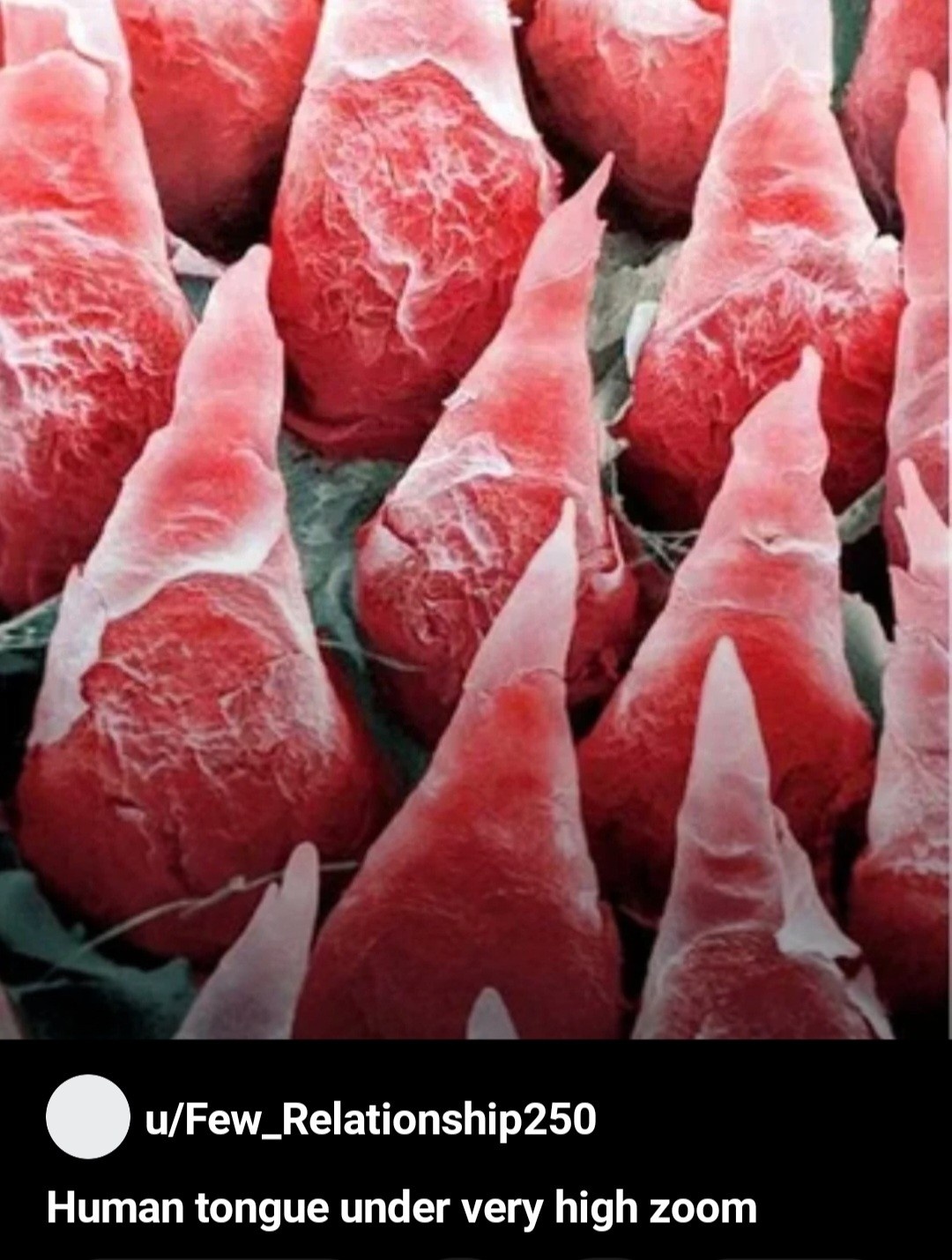 2923fe5c-dd7a-48c0-9aac-157125fc11de